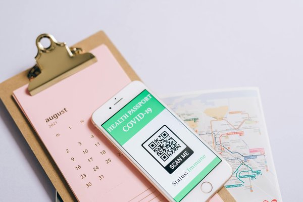 Quels sont les meilleurs spots pour observer les baleines bleues au Sri Lanka : conseils et meilleures périodes ?